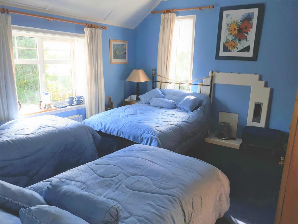 The Dell Dublin Bed and Breakfast Dún Laoghaire Eksteriør billede